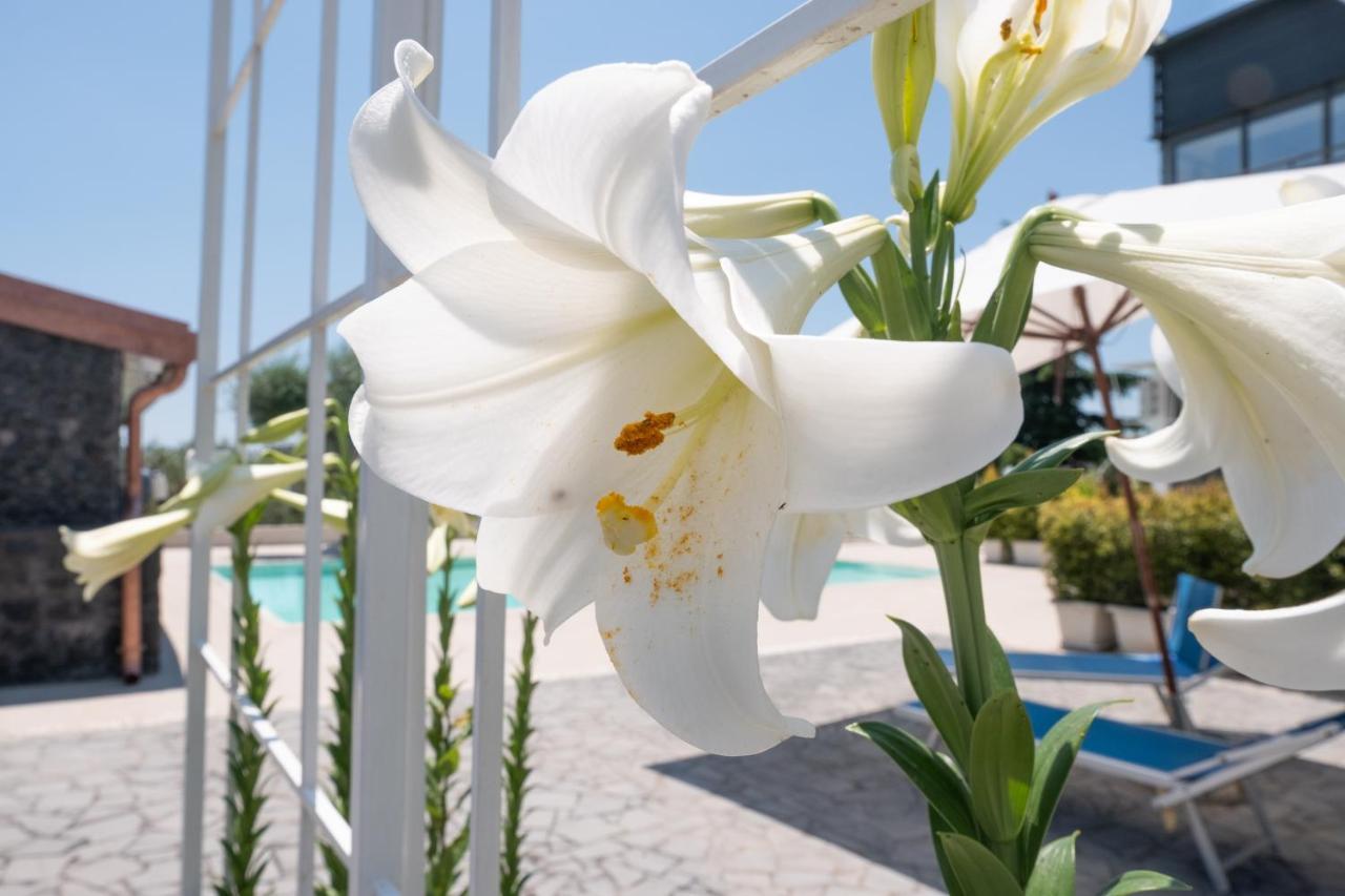 Lux Suite Sicily 马斯卡卢恰 外观 照片